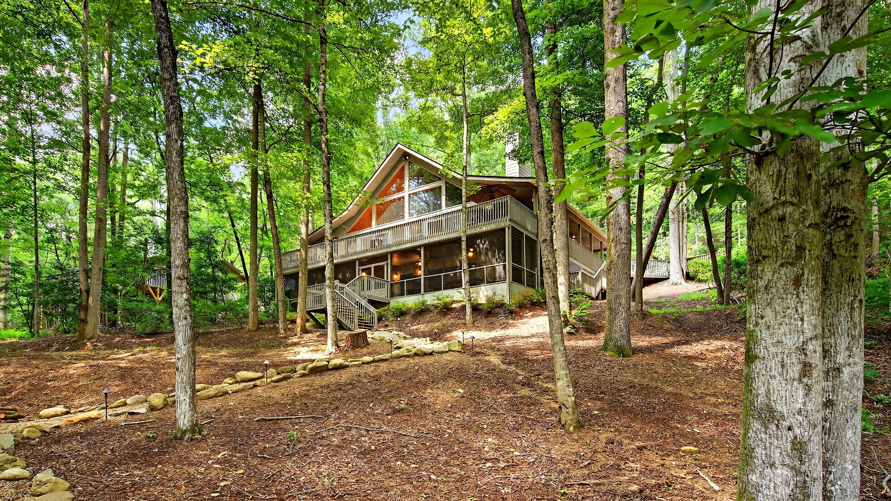 View of Golden Creek Cabin from the back yard