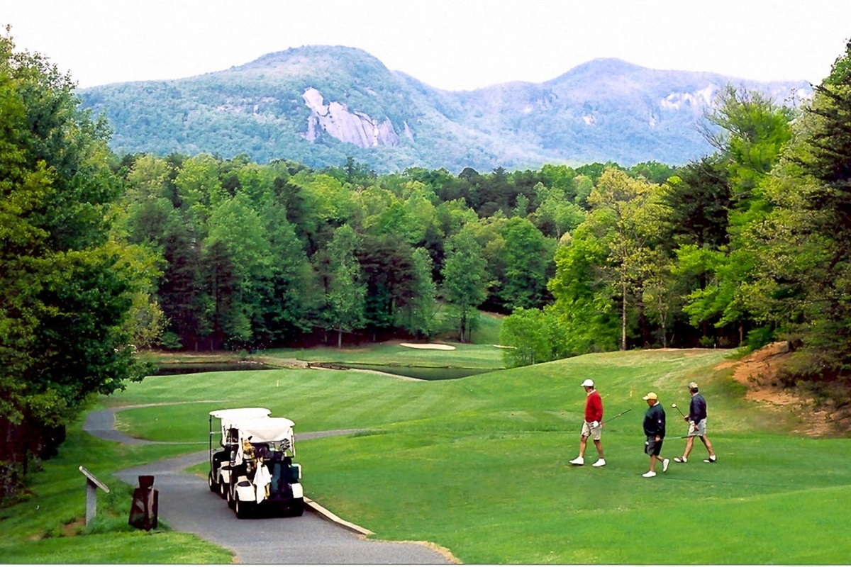 Many local and nearby golf courses
