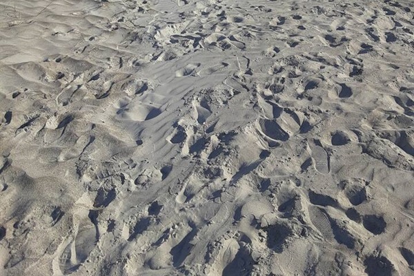 Madeira beach view South