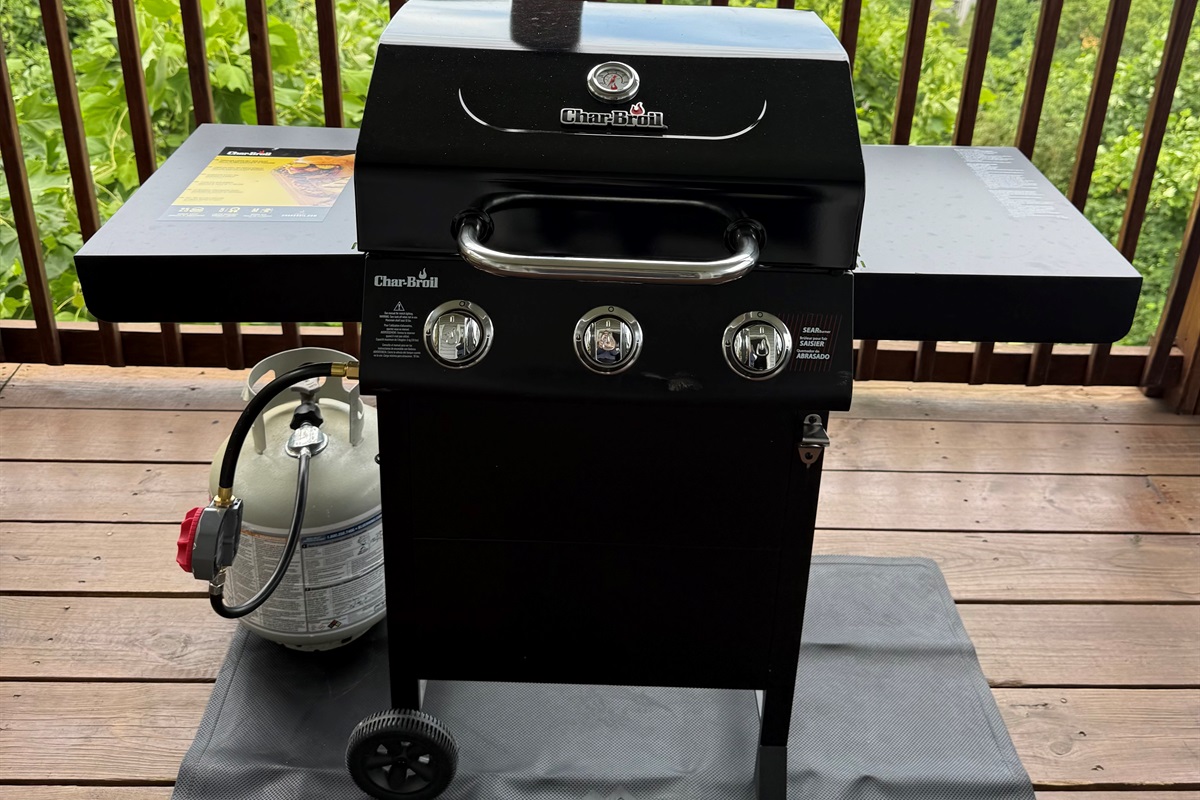 Outdoor propane grill
