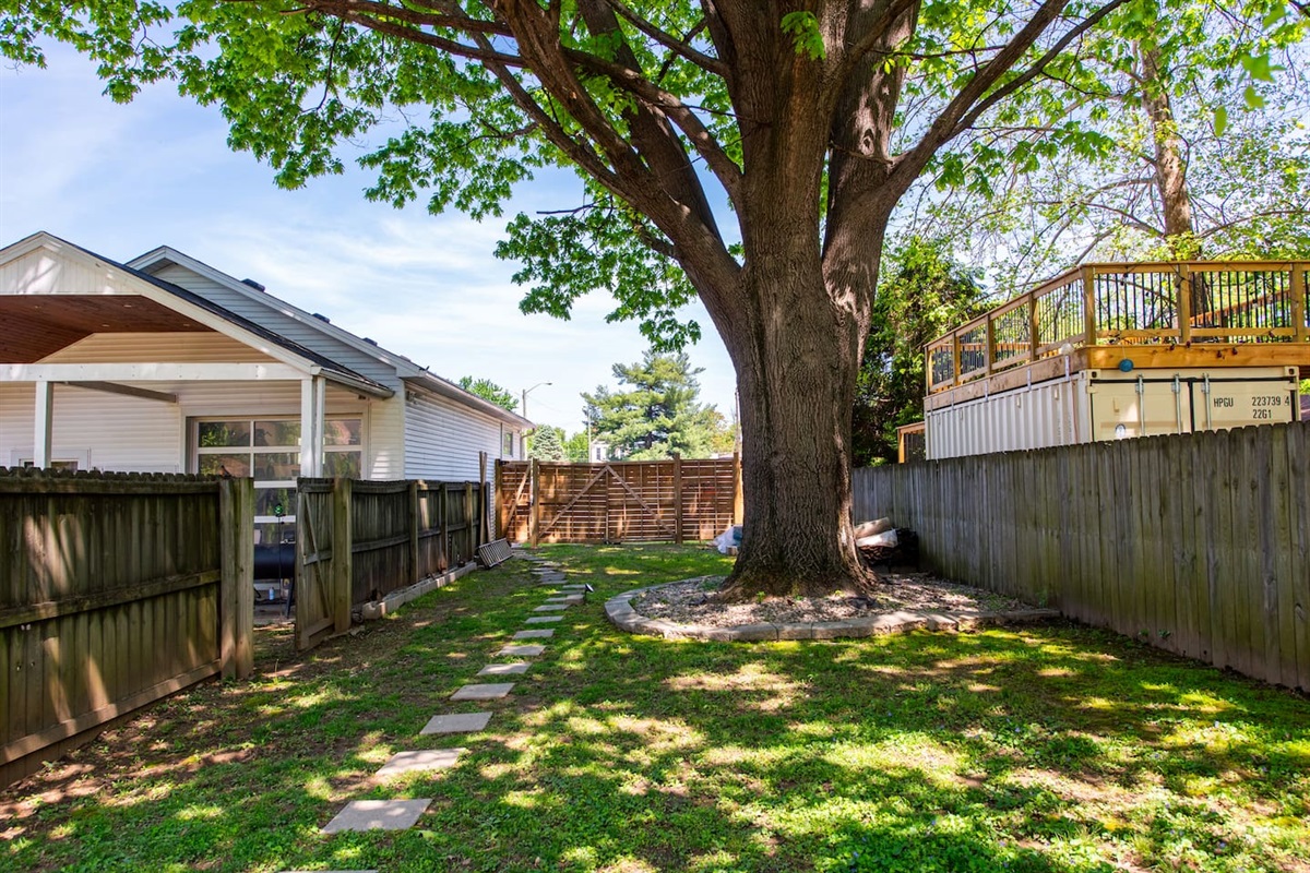 Backyard