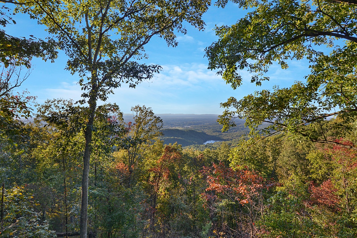 Ready to see the leaves change? 