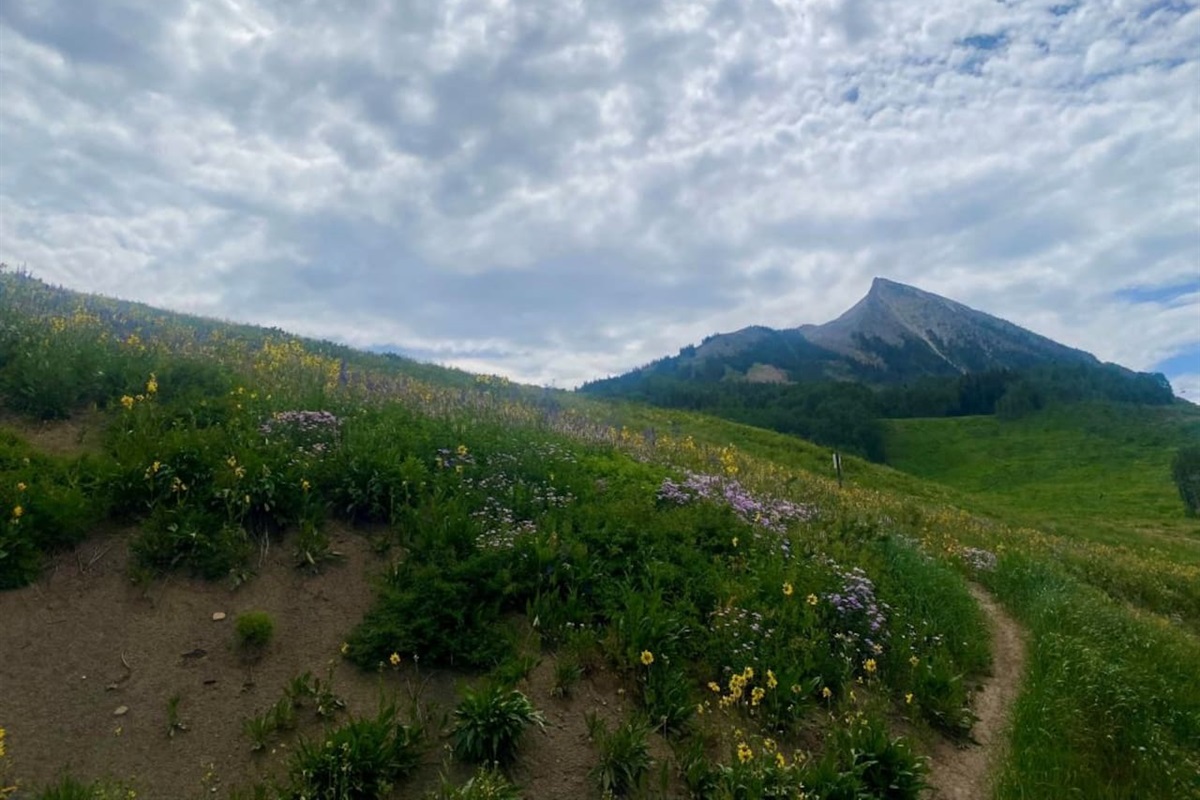 Mt. CB trail from parking lot.