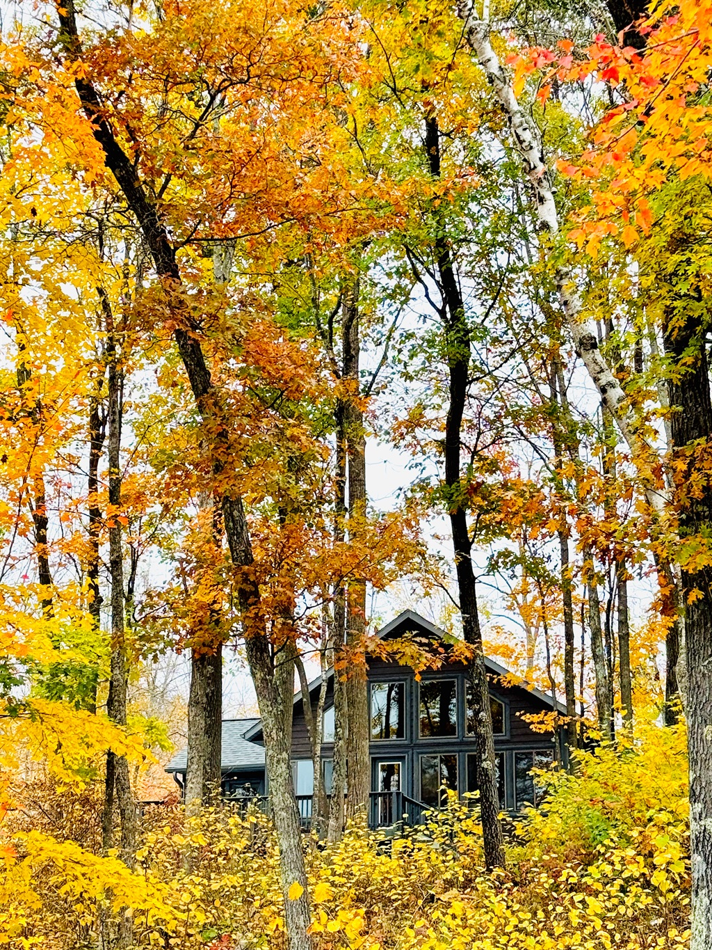 Welcome to Cattail Chalet!