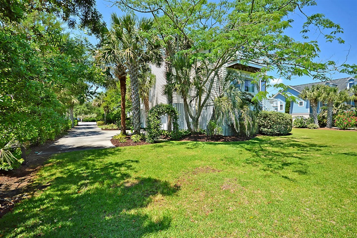 Spacious & Grassy Backyard