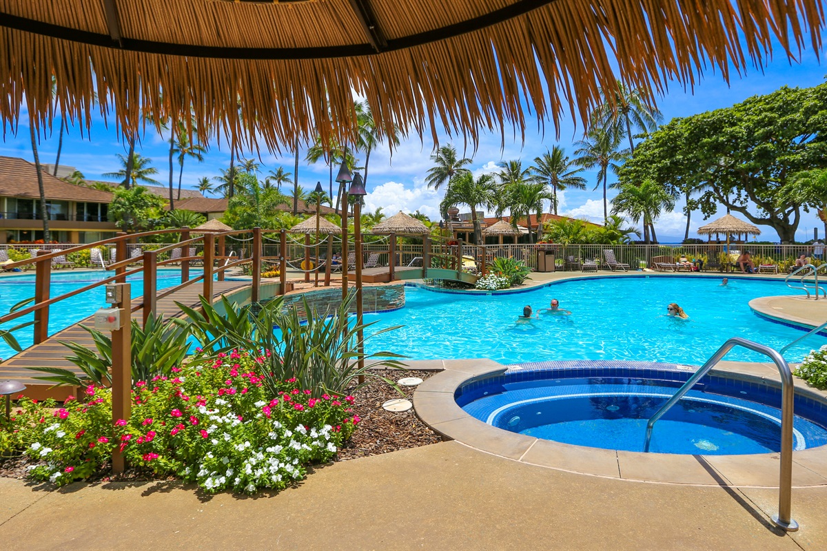 Poolside Restaurant and Drink Service