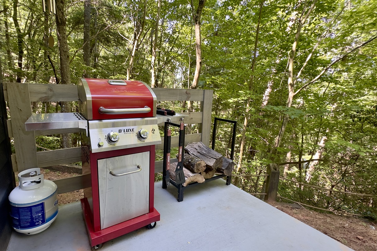 Grilling Out with Friends