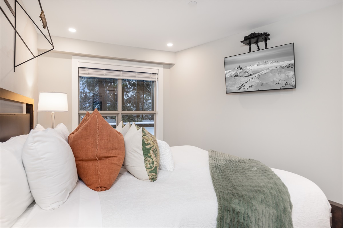 Free Netflix and standard cable TV in the bedroom and living room.