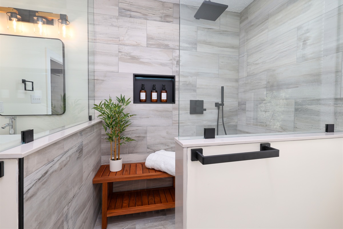 Full Bathroom on upper level-Rainfall shower with massage wand and LED shower nooks
