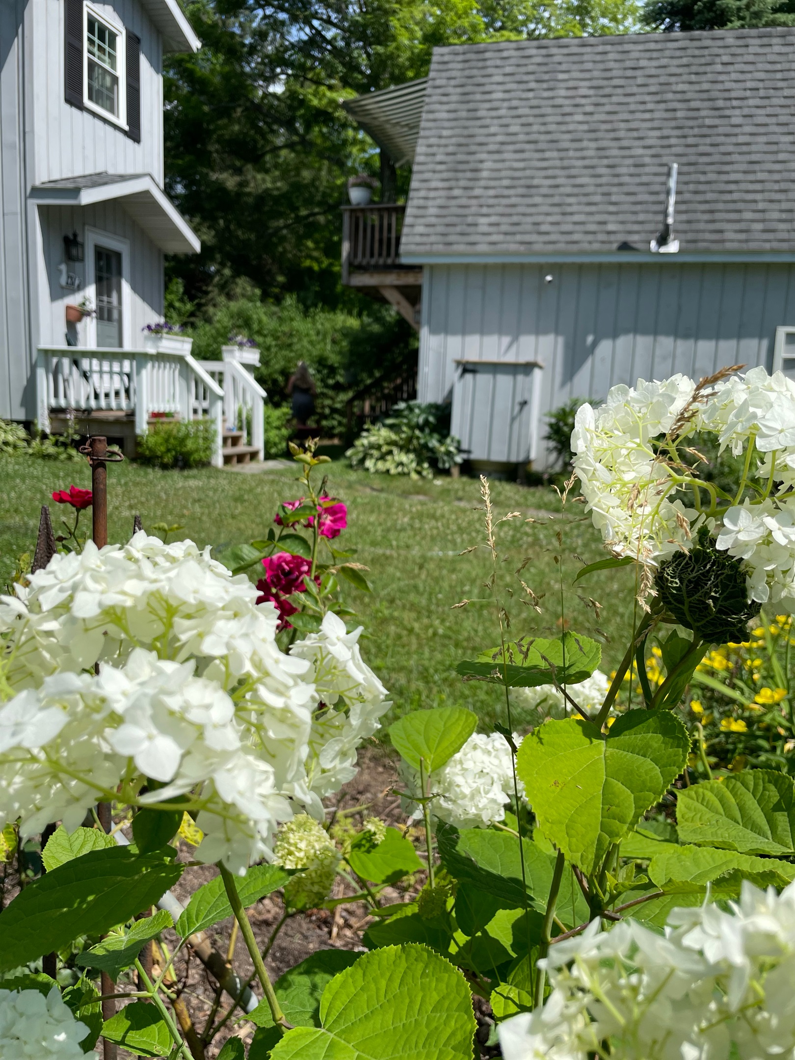 Gardens galore!