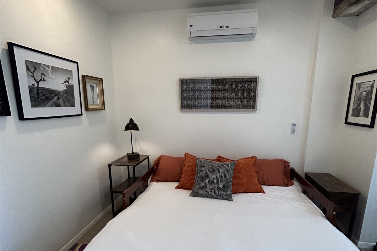 Downstairs Pull Out Couch