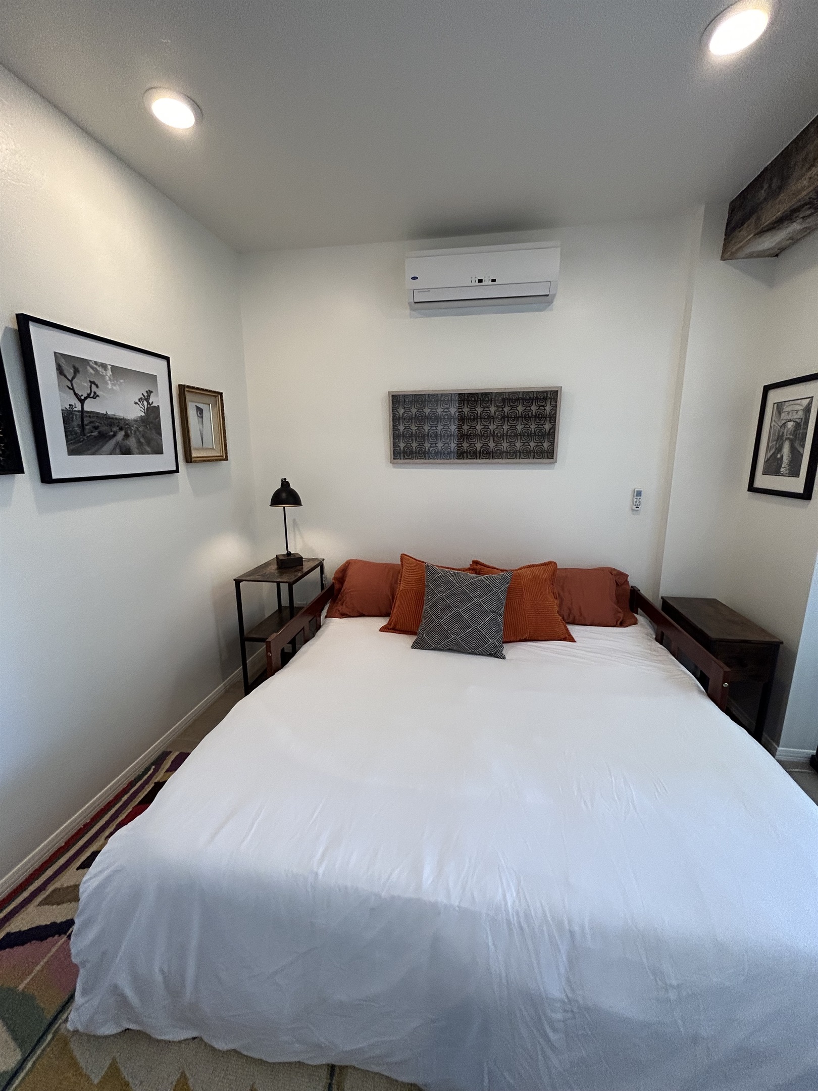 Downstairs Pull Out Couch