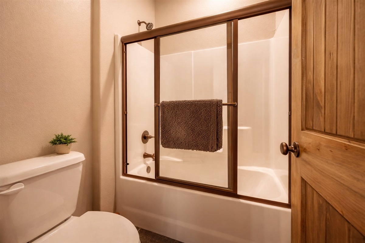 Lower level jack & jill bathroom