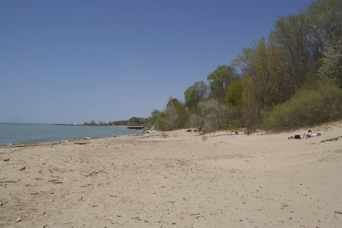 4d60de7904d749a0815c4ff62fae3c56 Large