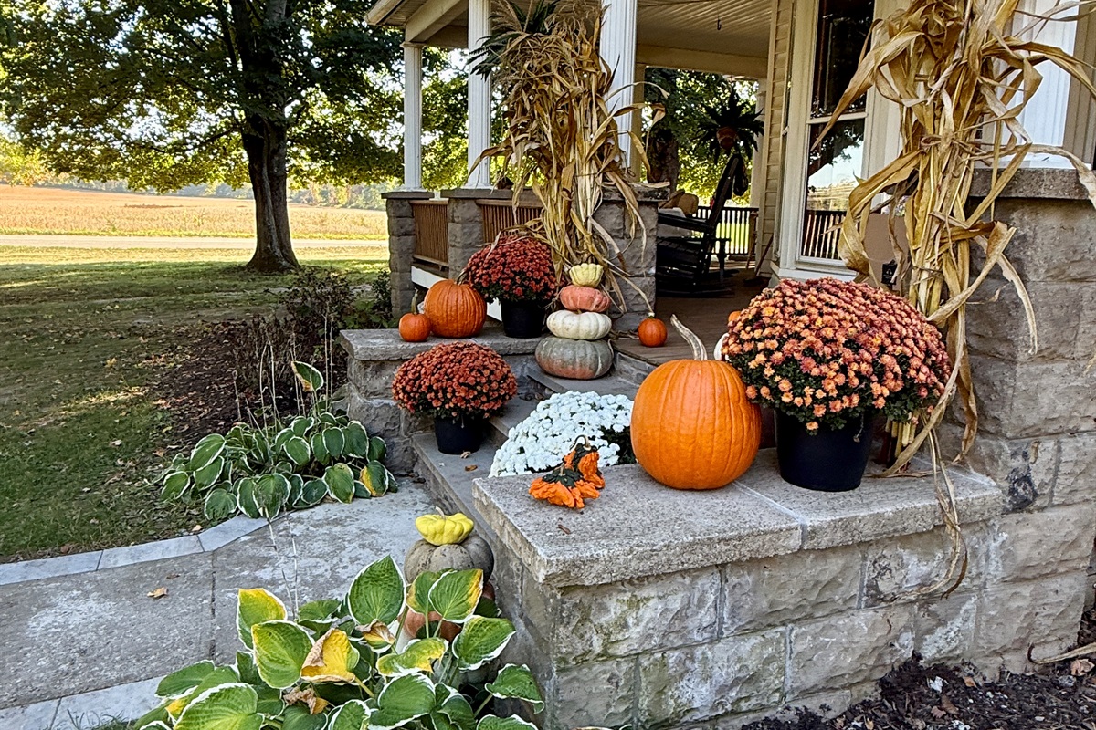 Apple Picking, Farm Stands and Haunted Hayride Nearyby