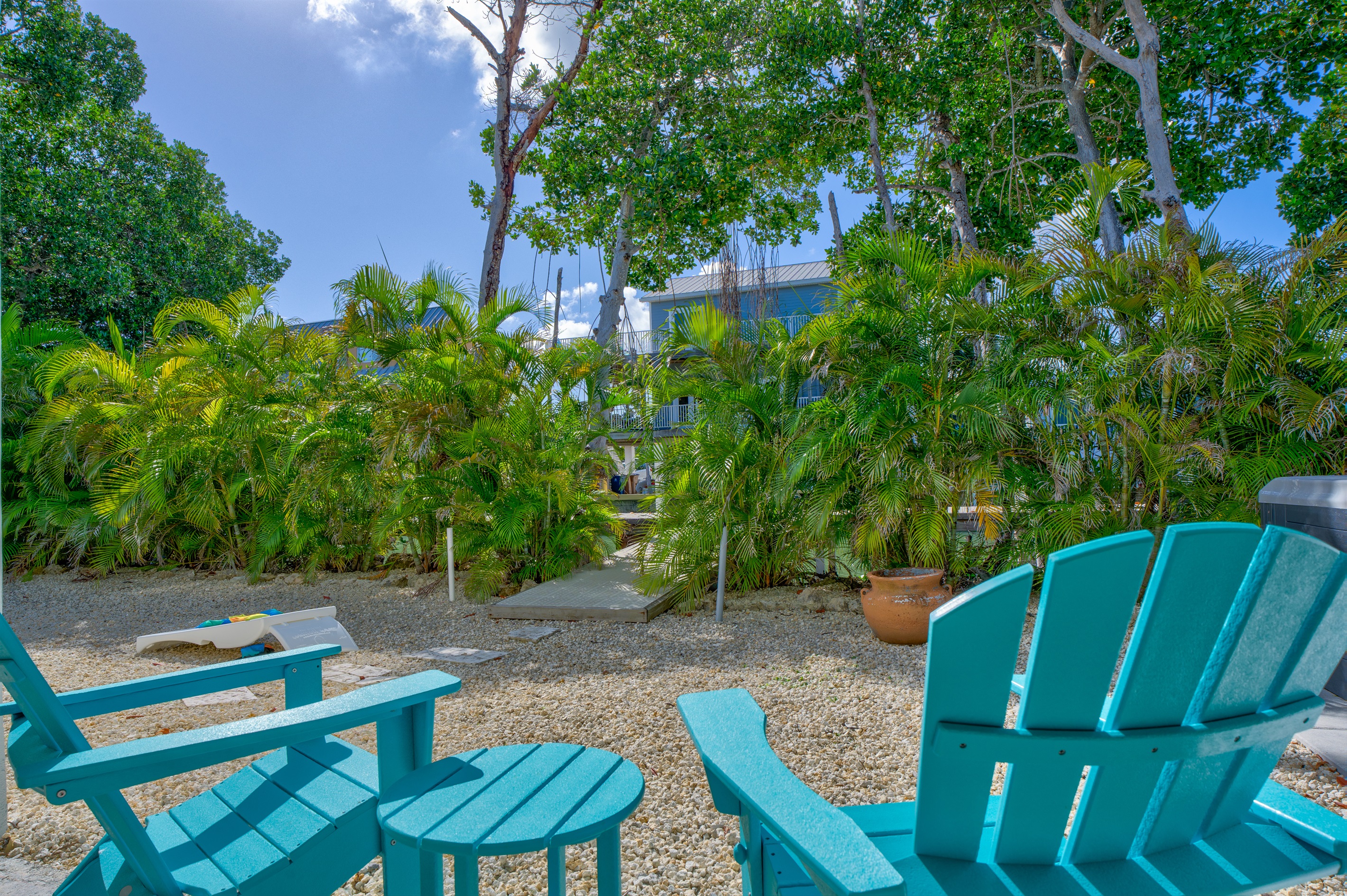 Let's head through the mangrove trees to check out the dock.