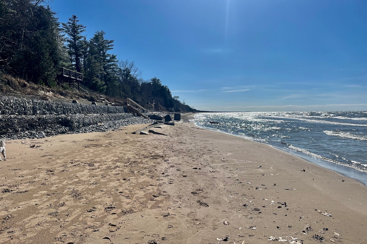 4db2f61a3e864c1c8d50a07c183fb91a Large