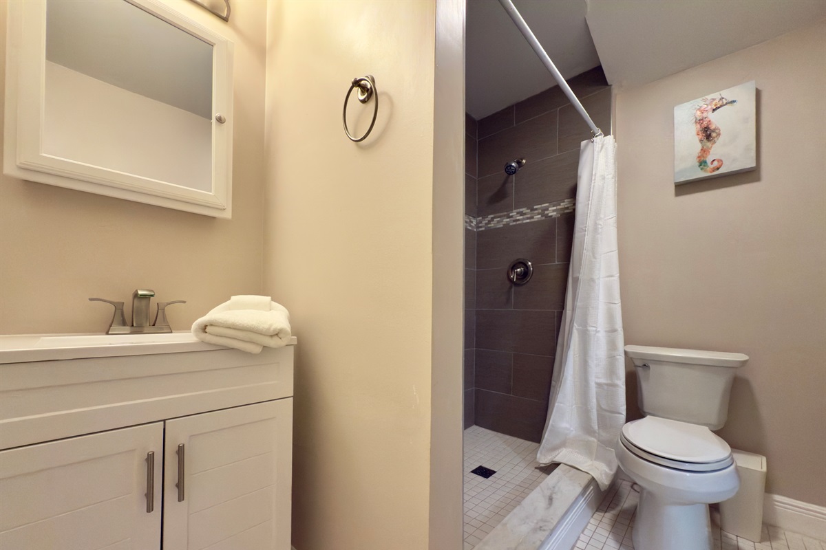 The standout feature is the generously sized walk-in shower, finished in rich natural stone tiles with a textured pebble-style floor.