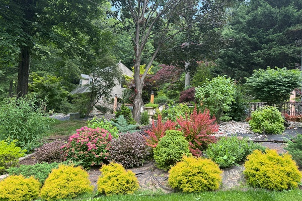 Bird and Butterfly Garden.