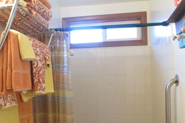 bathroom w/shower 