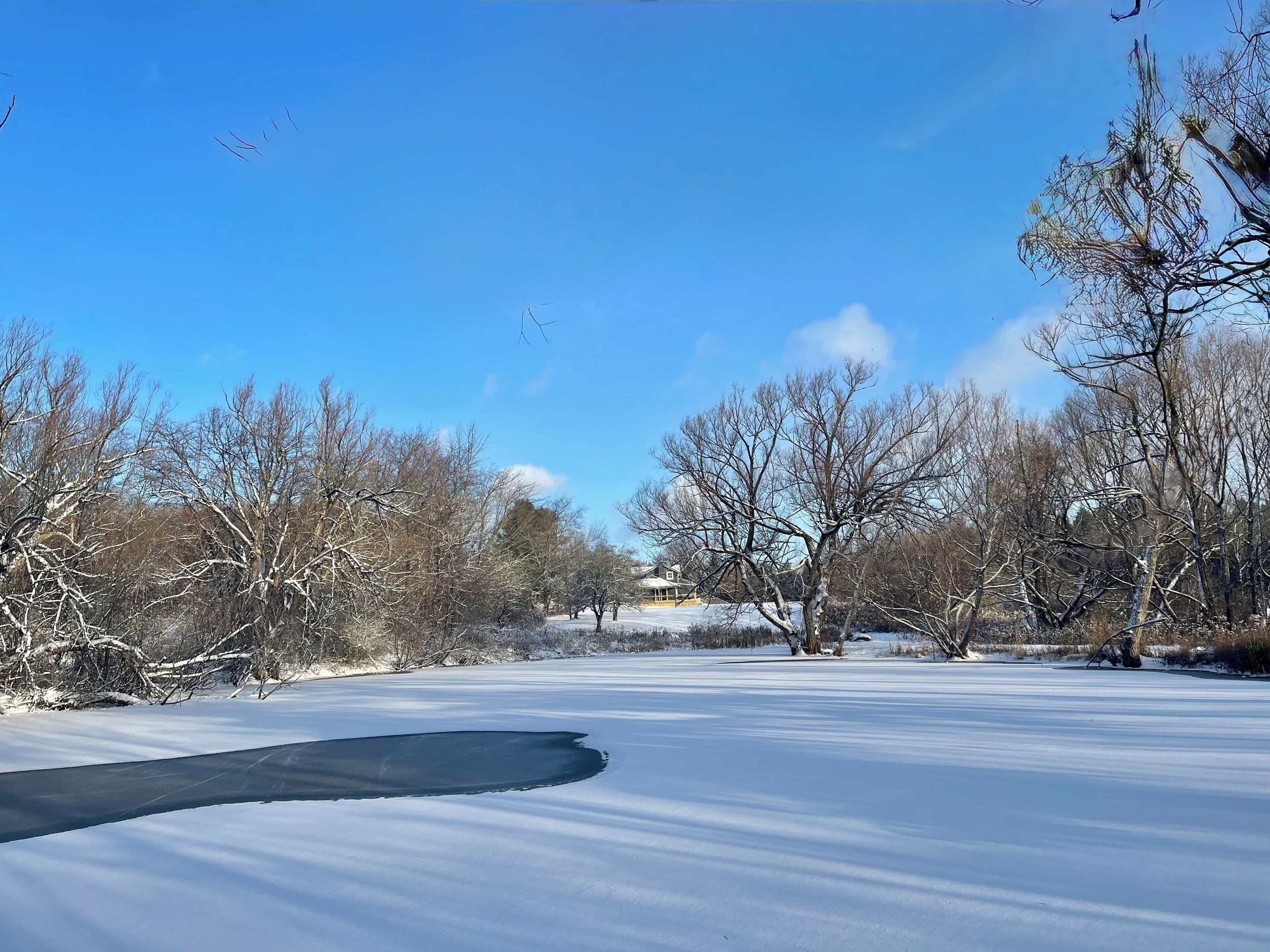 Experience the quiet beauty of our pond in winter, where icy waters and snowy banks create a serene, peaceful landscape on our private 4-acre property. 