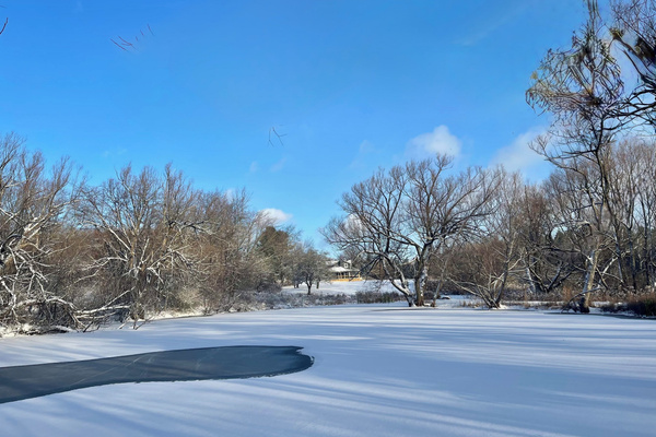 Experience the quiet beauty of our pond in winter, where icy waters and snowy banks create a serene, peaceful landscape on our private 4-acre property. 