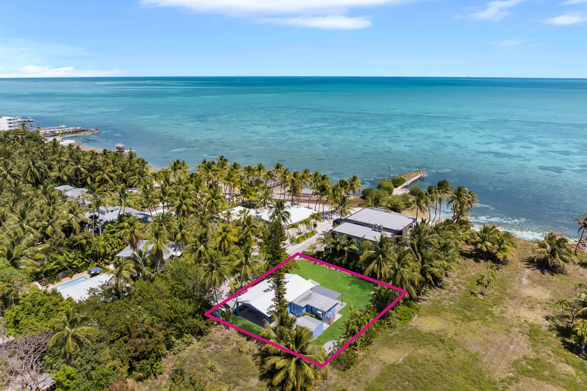 Aerial view of the home
