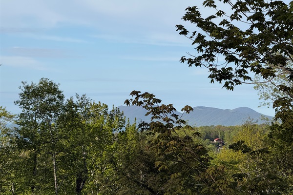 Peaceful long-range mountain views from the deck. 