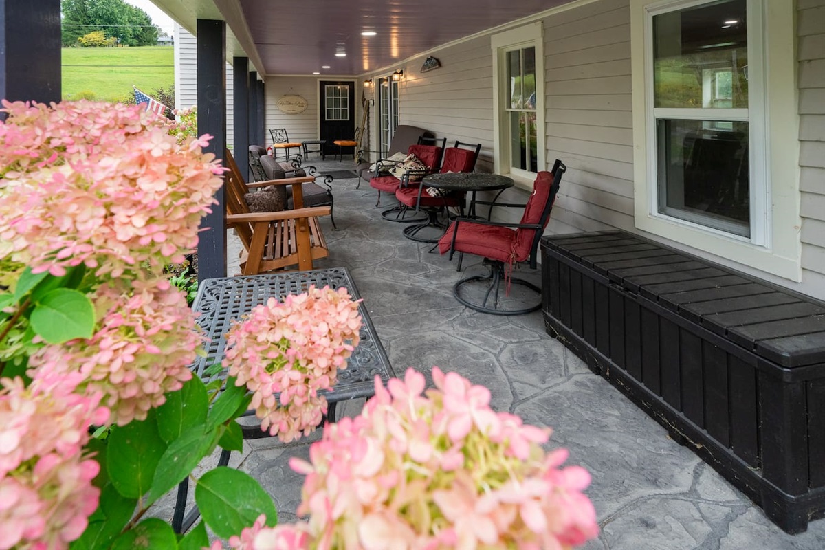 House Patio 
