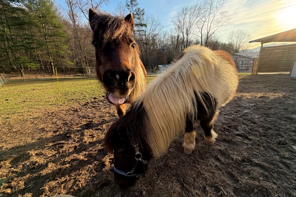 Moana coming out of her shell.