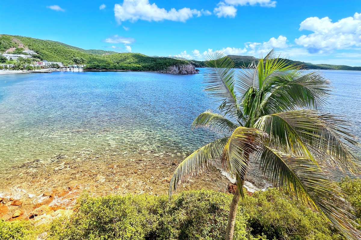 Mornings are better when you wake up to this.