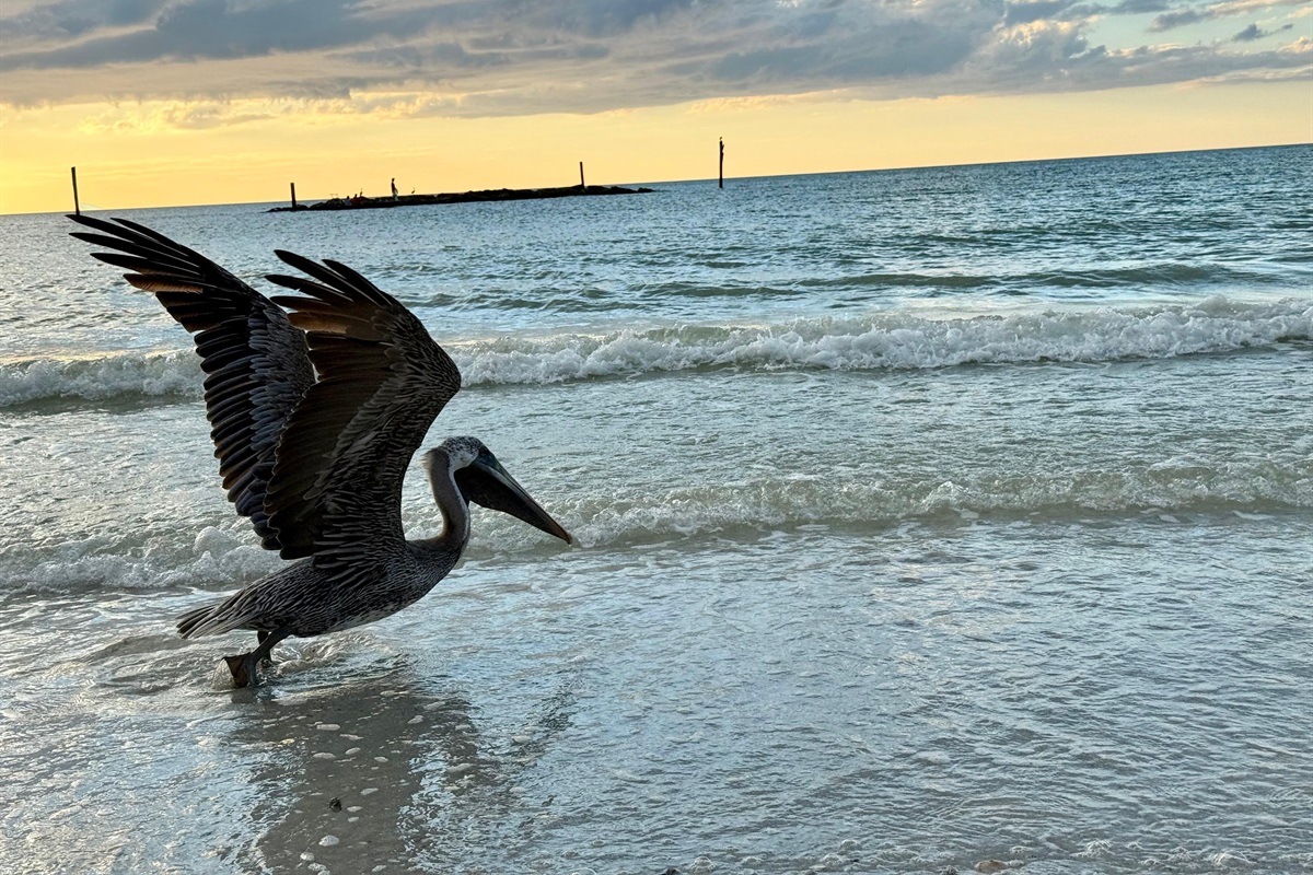 Christine B., Sep 27, 2025