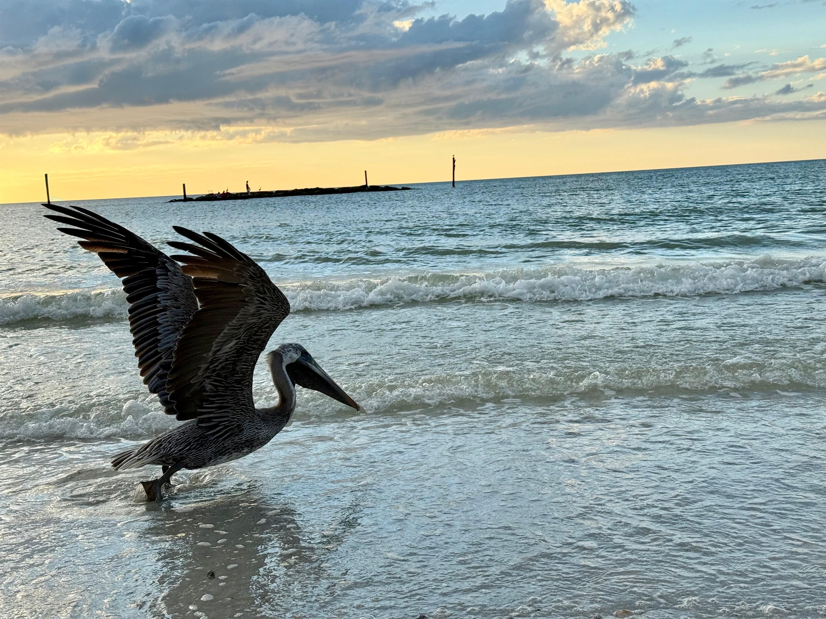 Christine B., Sep 27, 2025