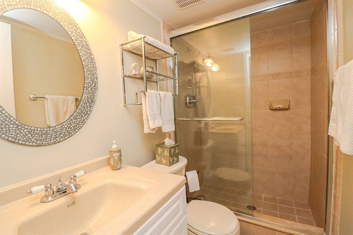 Down Stairs Bathroom 