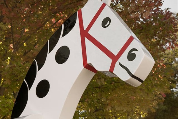 Murray the Horse--Tryon's mascot.