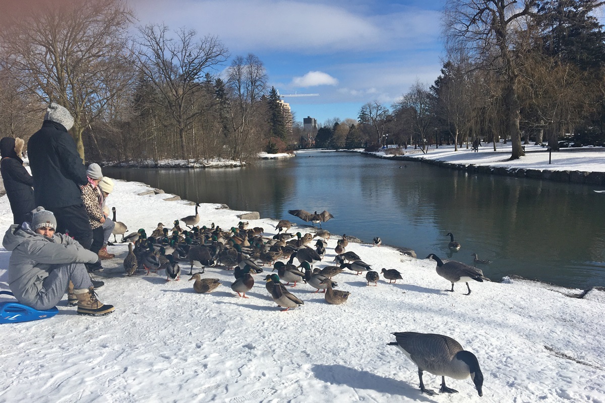 Victoria Park - Kitchener