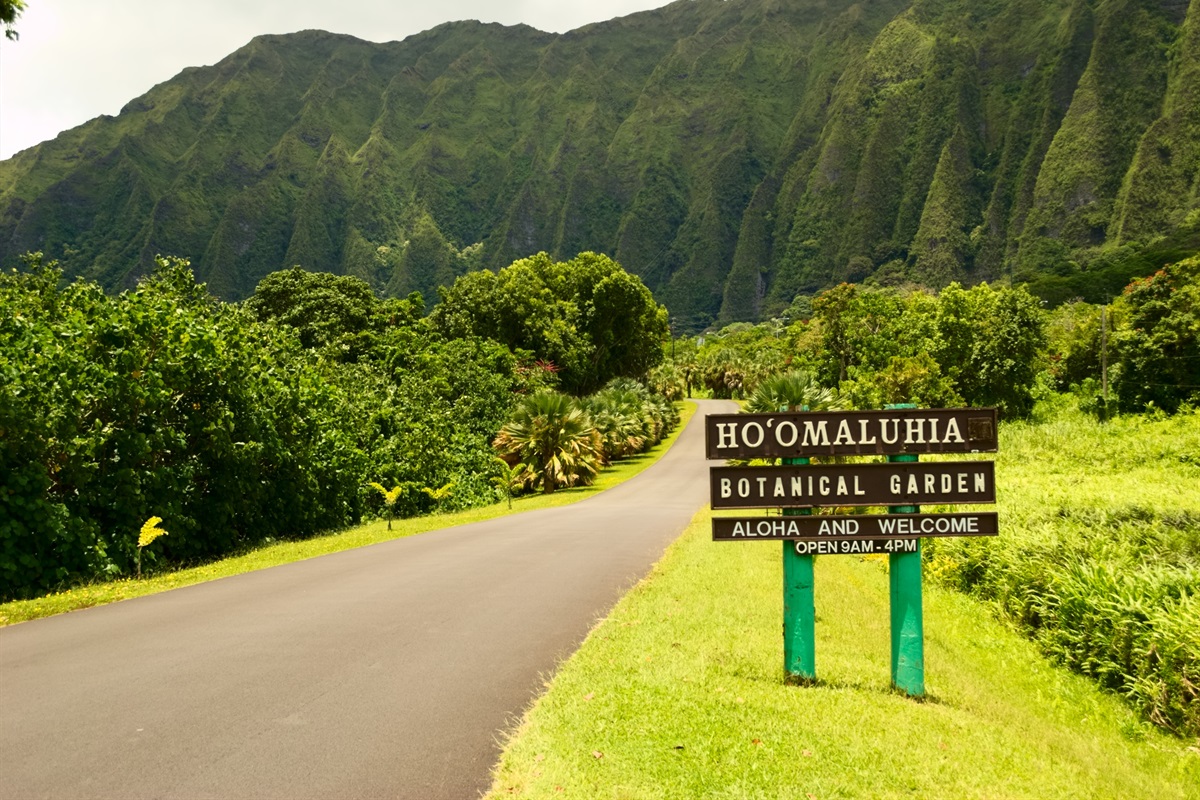 Hoomaluhia Botanical Gardens