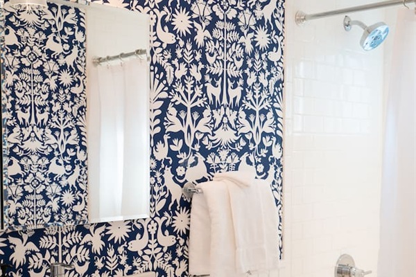 Hall bathroom--full shower and tub.