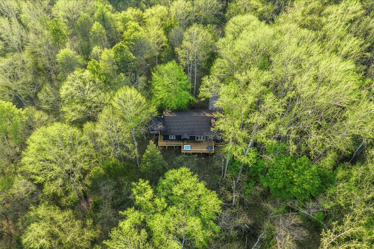 Charming Retreat: Nestled in nature, your tranquil escape awaits beneath vibrant treetops!