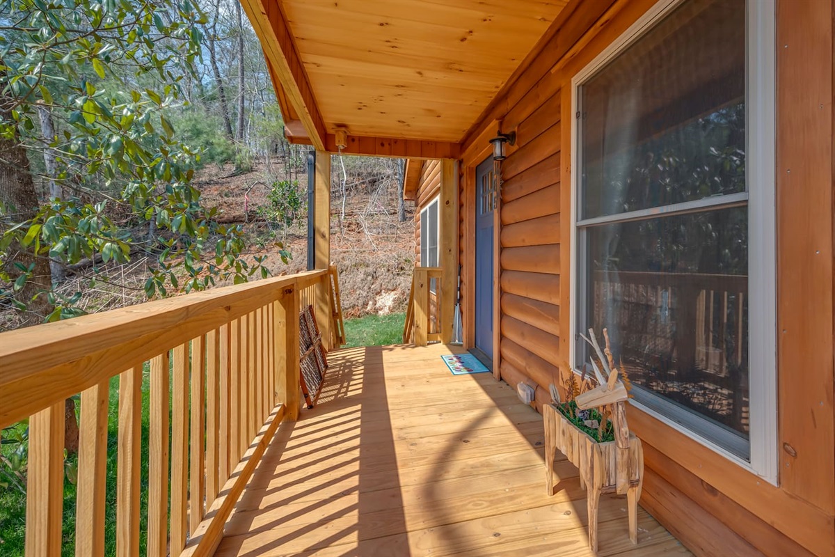Front portion of the deck 
