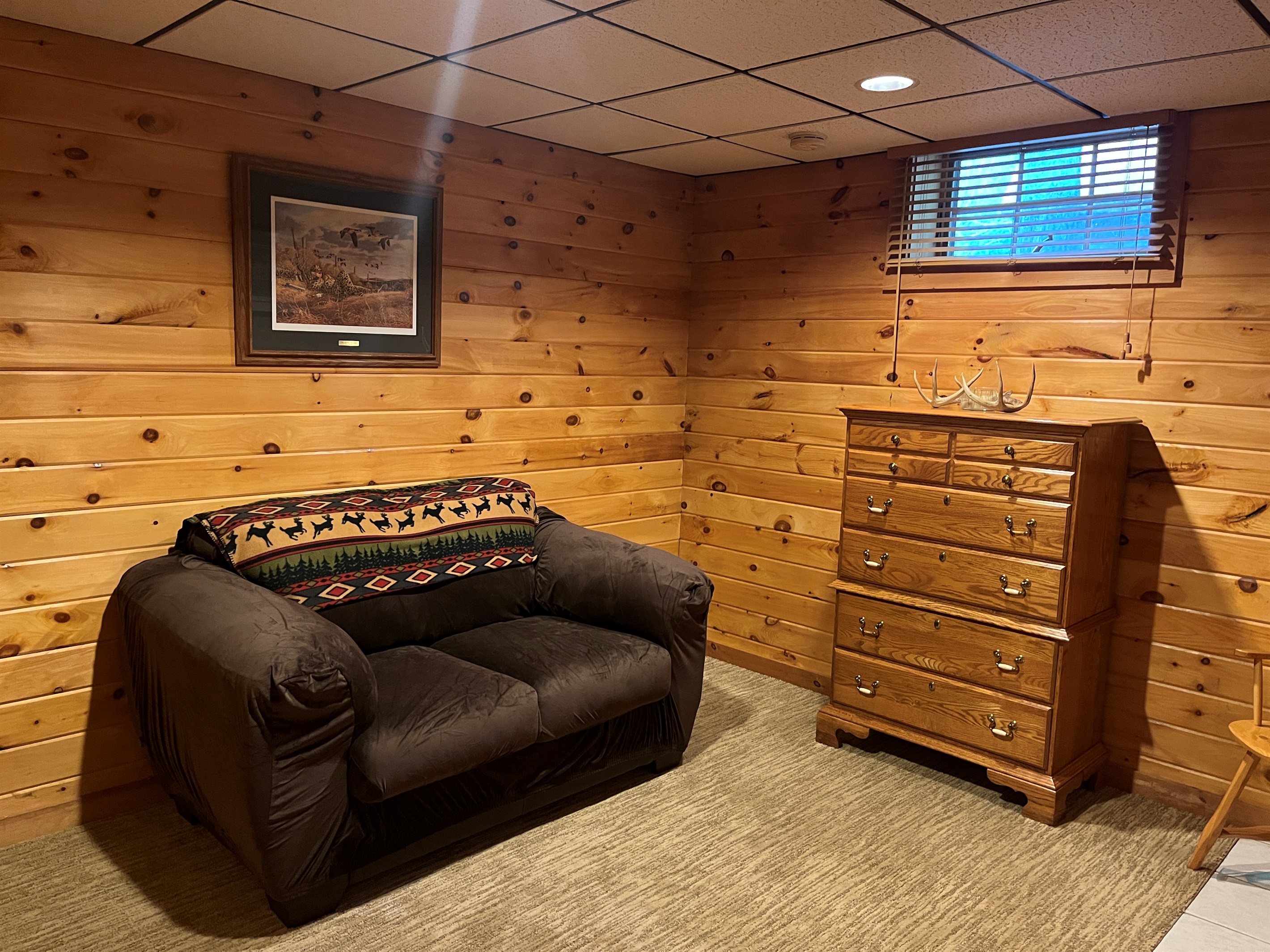 Lower level sitting area