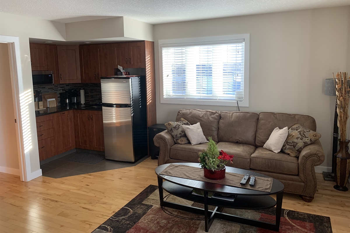 GUEST LIVING ROOM. PULL OUT COUCH AND LIVE EDGE EATING BAR. LOTS OF SPACE TO RELAX.