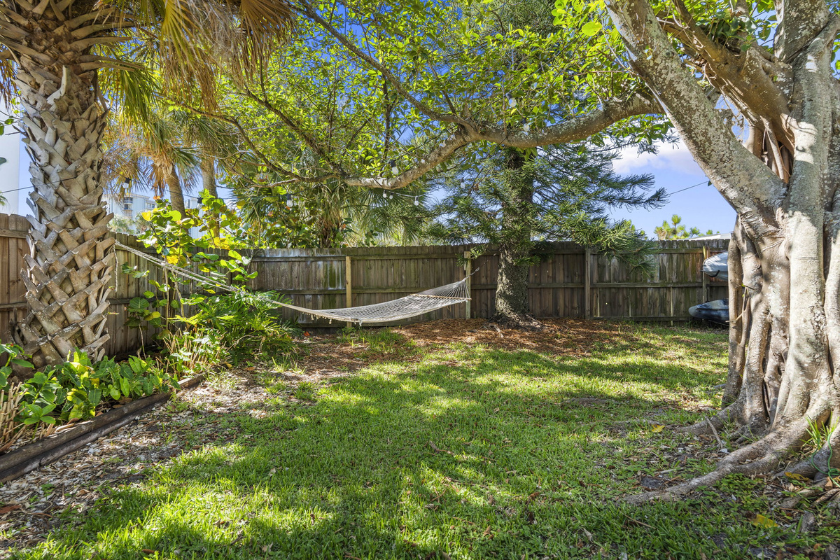 Backyard Hammock