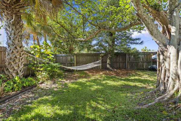 Backyard Hammock