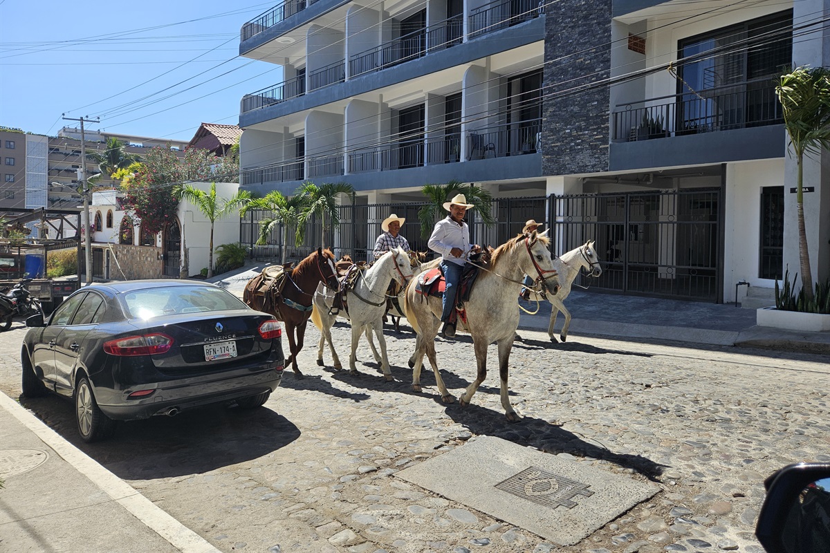 Horse Rides pick up at your door available. Ask Richard for details