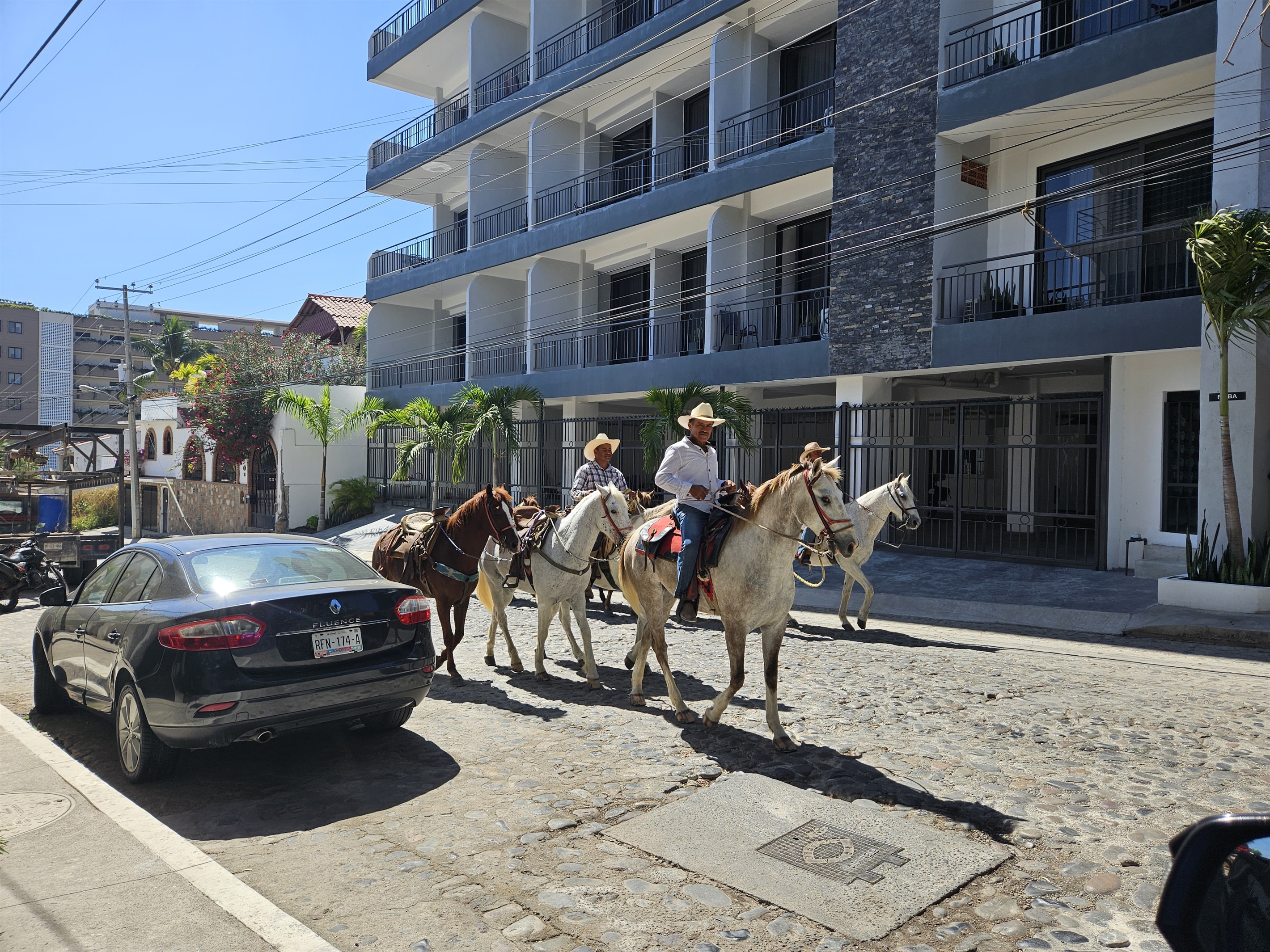 Horse Rides pick up at your door available. Ask Richard for details