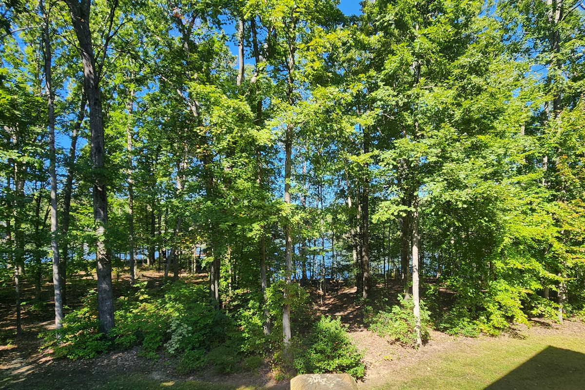 view of the lake from the rear deck