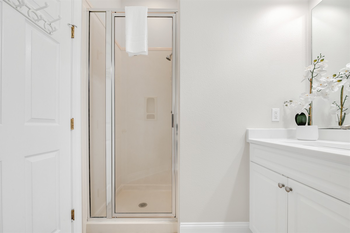 Bathroom 2 (Downstairs)