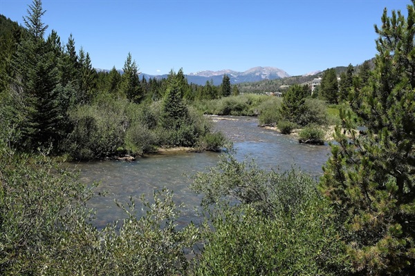 Snake River with Buffalo River