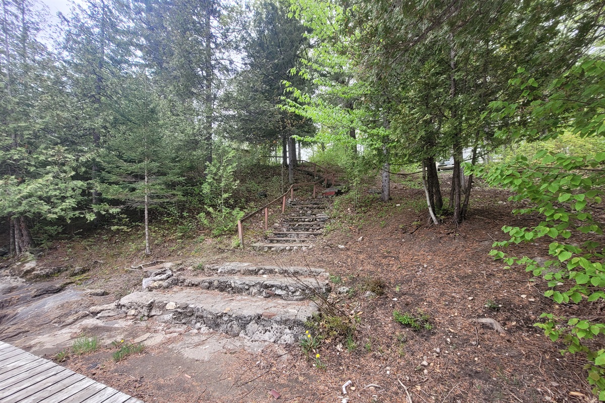Walkway and path down to the dock and lake access